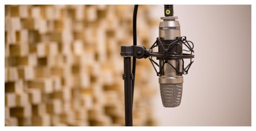 Mic Recording Record Sound