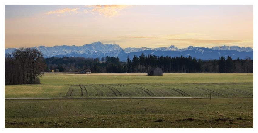 Landscape Winter Forest Trees
