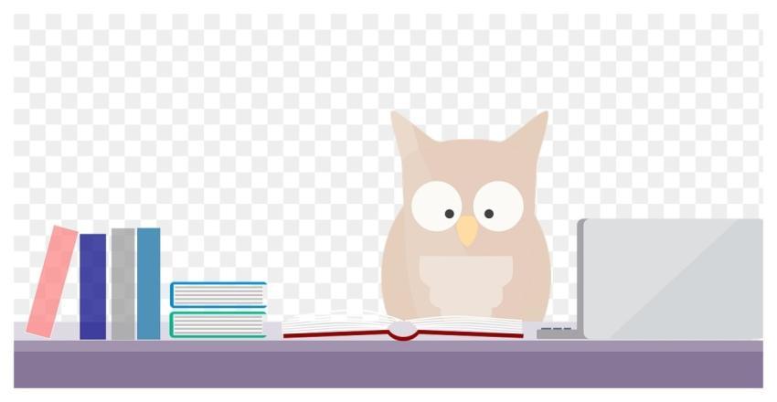 Owl reading png education illustration