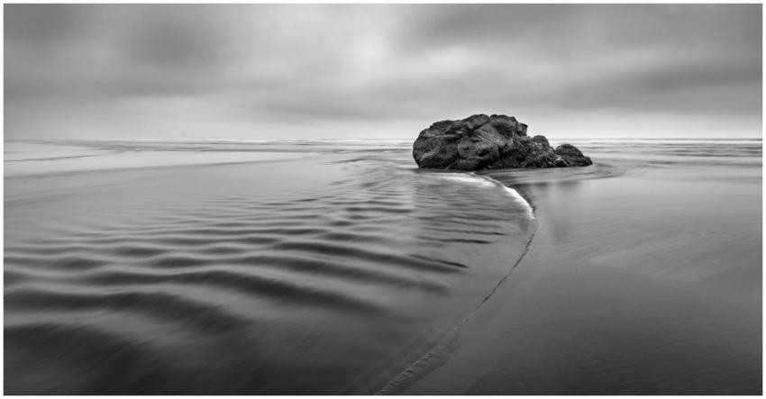 Tranquil black and white seascape featuring a lone