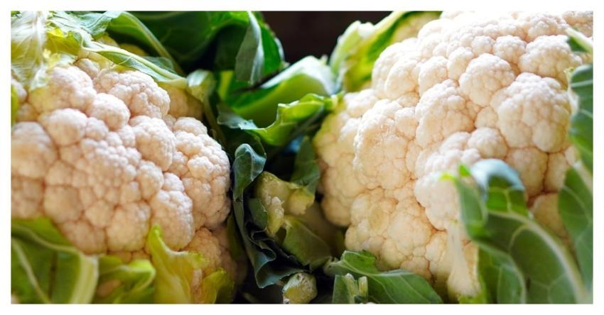 Cauliflower Vegetables Food Nature