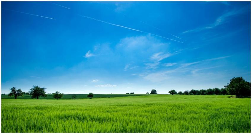 Tranquil rural landscape with lush green field and