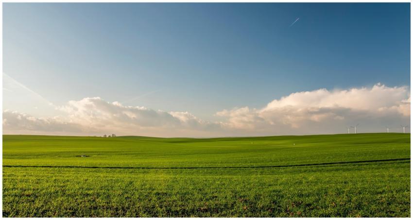 Expansive green meadow under a blue sky with wind
