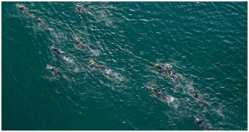Swimmers in wetsuits and caps compete in a race th