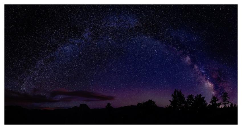 Nature Trees Silhouette Night