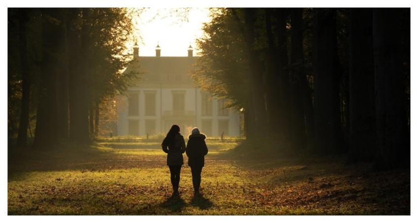 Autumn Forrest Sunrise Walking In Nature