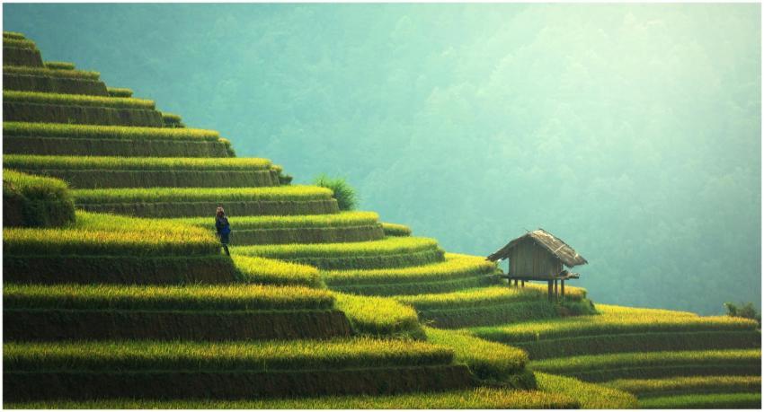A picturesque view of rice terraces and a small hu