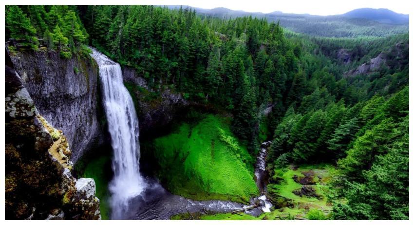 A breathtaking waterfall cascading into lush green