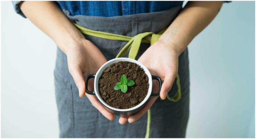 Close-up of hands holding a pot with soil and a yo