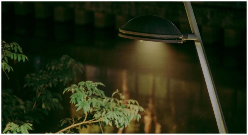 A street lamp illuminates wet leaves on a tranquil