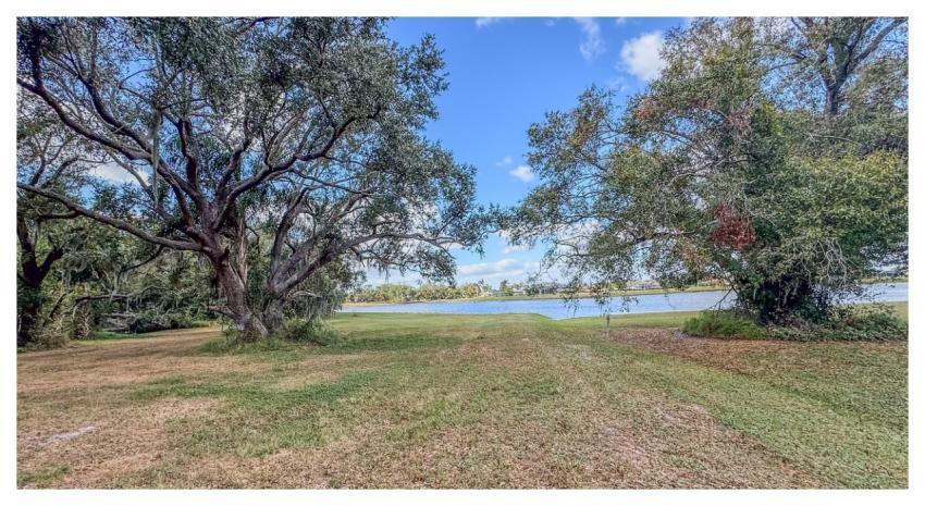 Trees Lake Nature Landscape