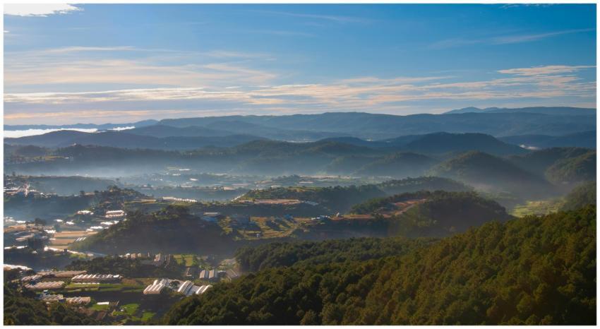 Free stock photo of animal, animal grazing, buffal