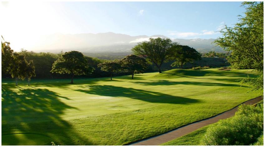 Serene view of a lush green golf course surrounded