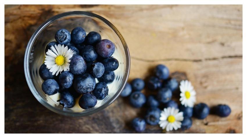 Blueberries Berries Fresh Fruits