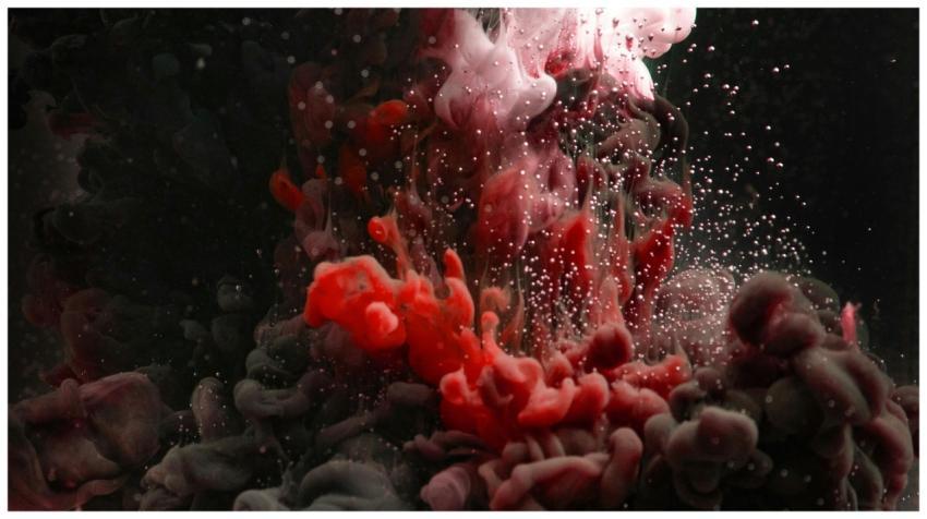 Vibrant abstract image featuring an artistic flow