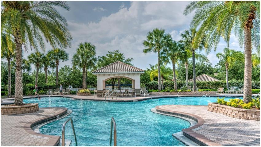 Relaxing tropical poolside scene with palm trees,