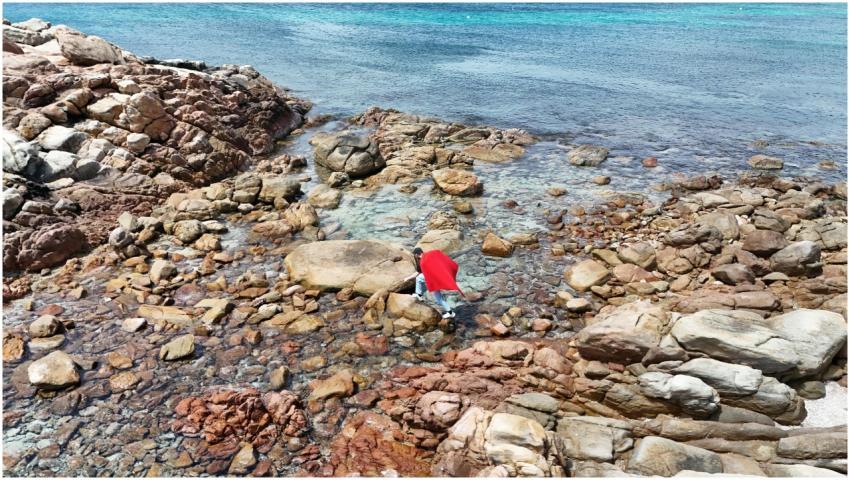 Free stock photo of 4k, 8k, australia