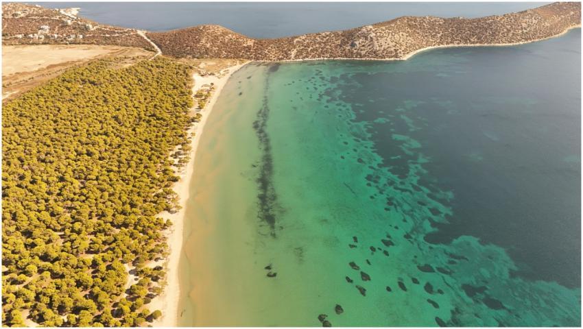 A stunning aerial view of Schinias Beach with lush