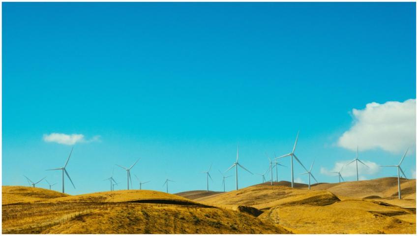Wind turbines on a sunny day generate clean energy
