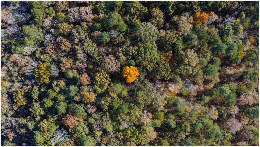 Free stock photo of aerial, alabama, birmingham