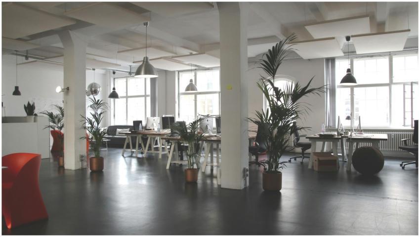 Spacious modern office interior with desks, plants