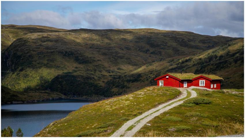 Red cabin with lush green roof overlooking serene