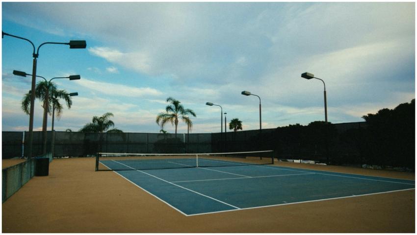 An empty outdoor tennis court surrounded by palm t