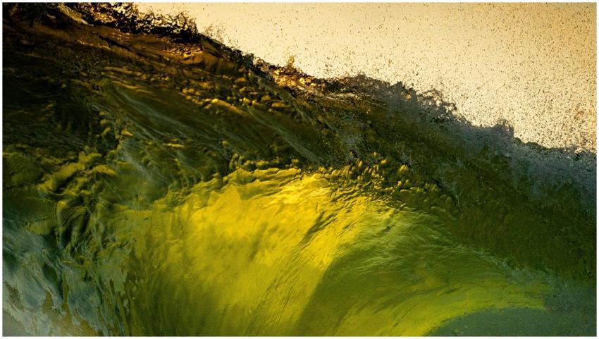 Close-up of a dynamic wave cresting over a sandy s