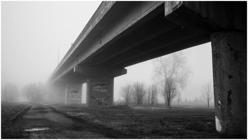 Free stock photo of atmospheric, black and white,