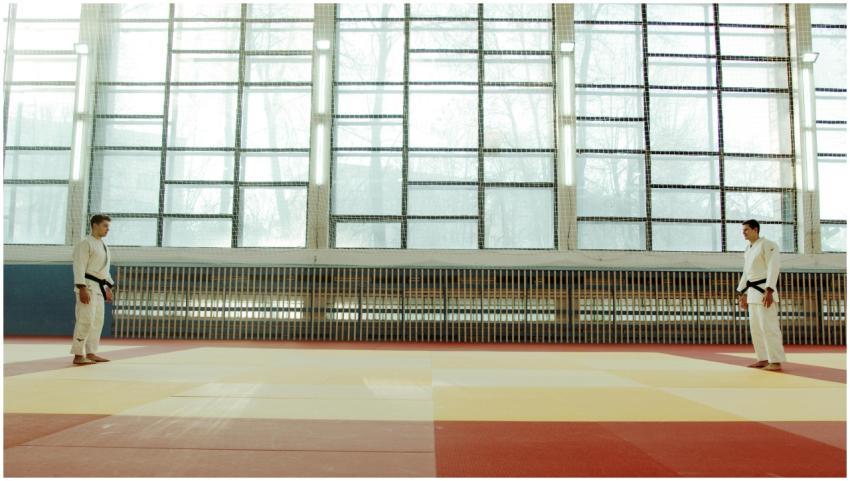 Two martial artists face off in a sunlit dojo, wea