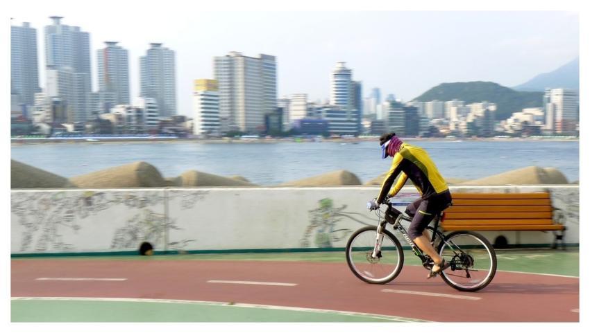 Cycle Bicycle Bike Cycling