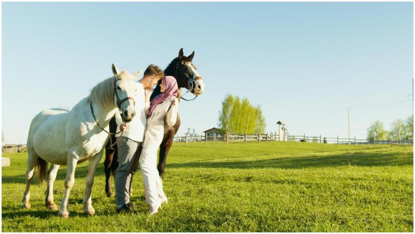 A couple tenderly embracing with horses in a sunny