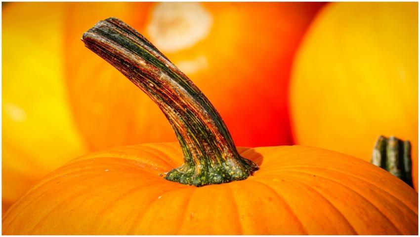 Bright and vibrant close-up image of a fresh orang