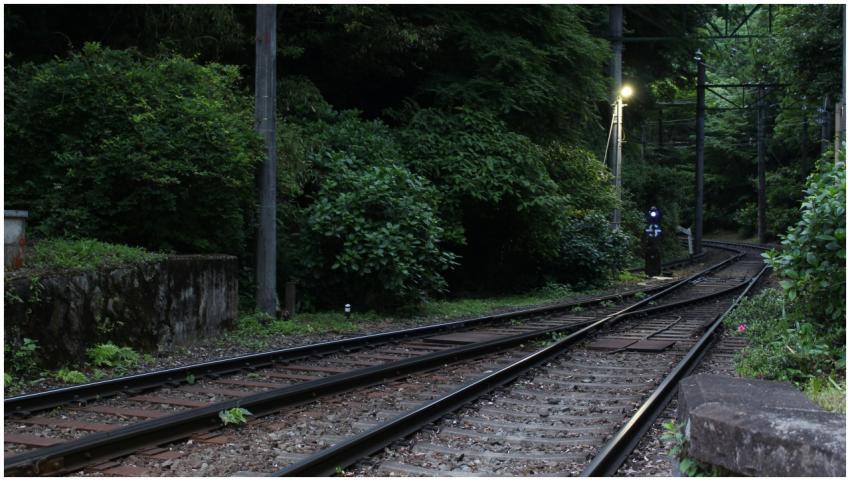 A tranquil railway track amidst dense greenery in