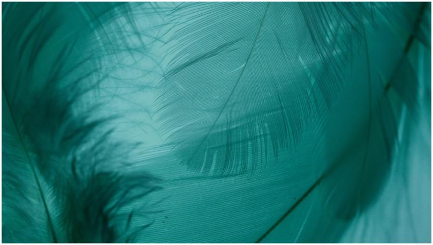 A macro shot highlighting the delicate patterns of