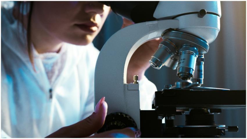 Scientist examining samples with a microscope in a