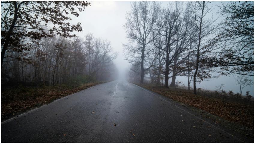 Free stock photo of atmospheric, autumn, cinematic