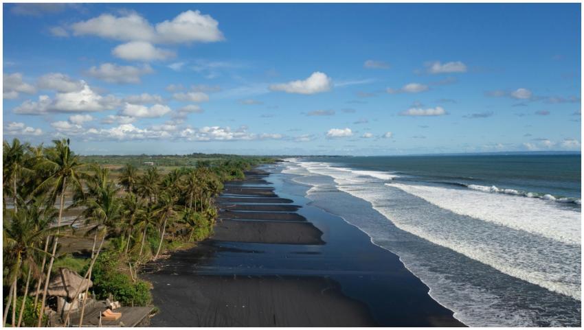 A stunning aerial view of black sand beach and pal