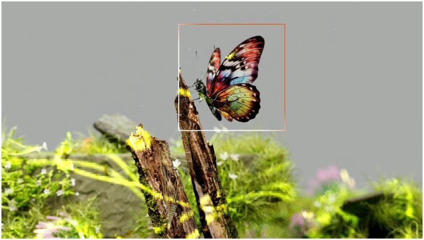 Vibrant butterfly resting on mossy wood surrounded