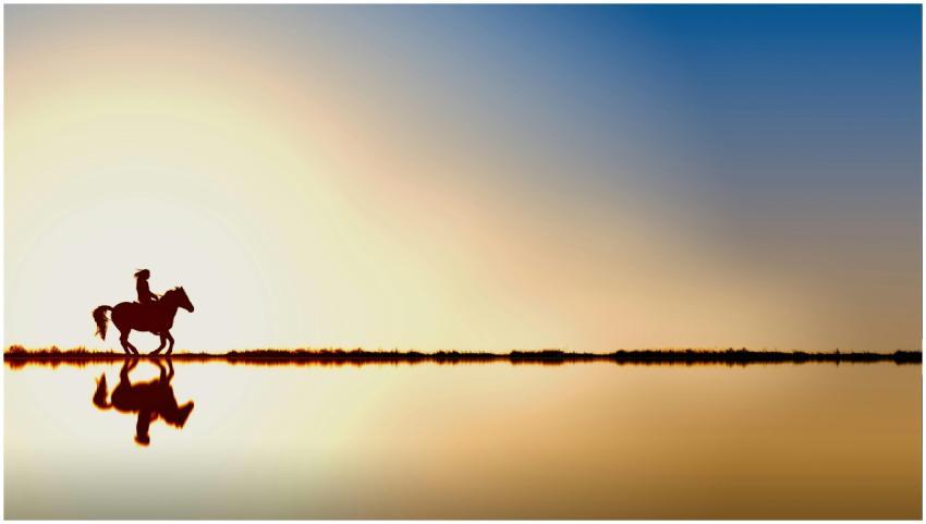 A rider on horseback creates a stunning silhouette