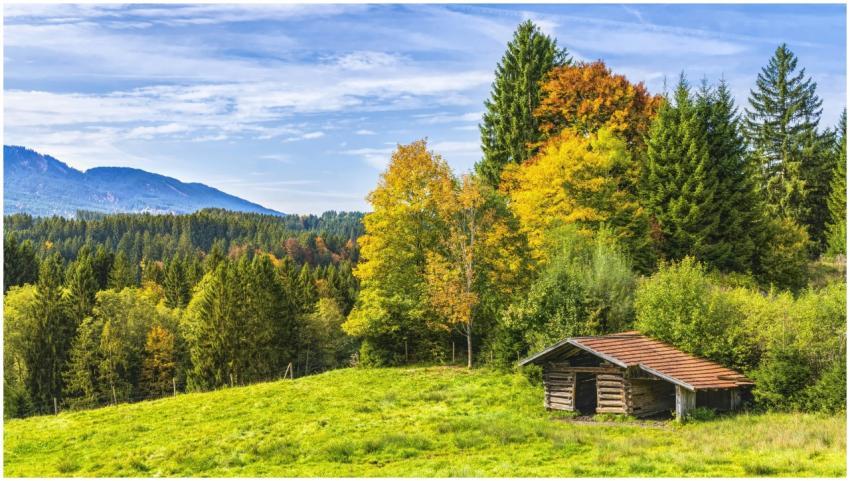Charming wooden hut nestled in a vibrant autumn fo