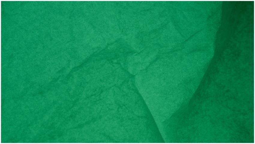 Detailed view of an emerald green wrinkled paper t