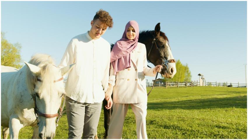A couple walking with horses on a sunny day in a g