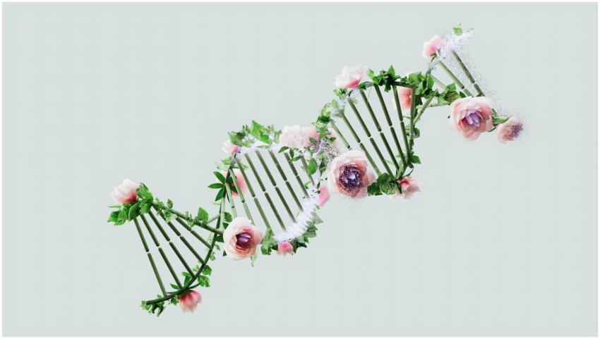 Artistic representation of a DNA helix intertwined