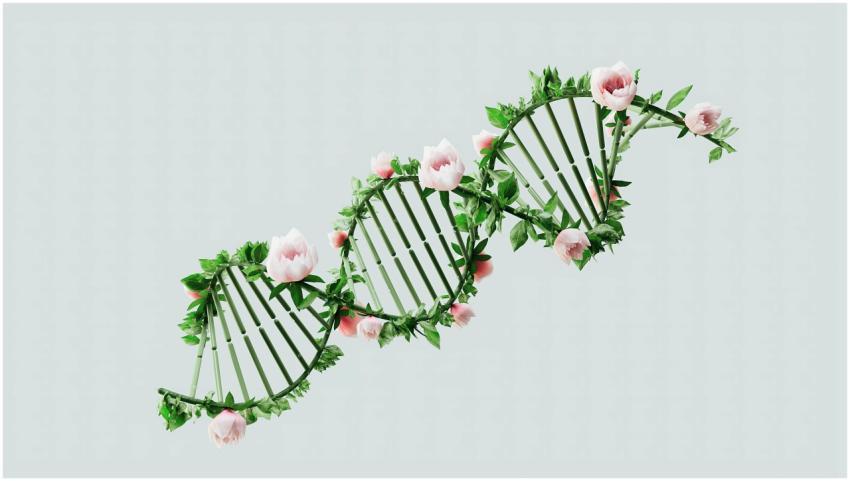 A creative representation of a DNA helix using flo