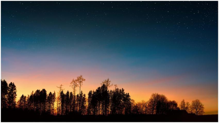 A serene sunset with starry sky above silhouetted