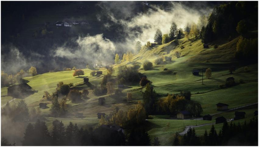 Scenic view of a misty hillside landscape with sca