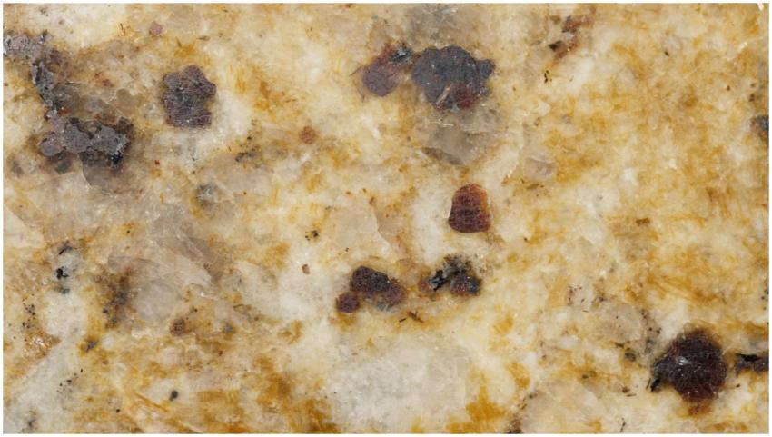 Detailed close-up of a textured granite surface wi