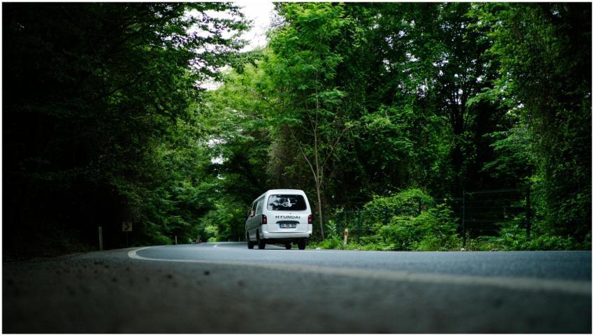 A Hyundai car travels through a lush green forest