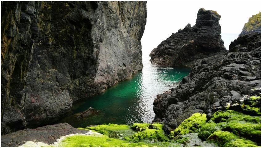 Stunning coastal rock formation with vibrant moss